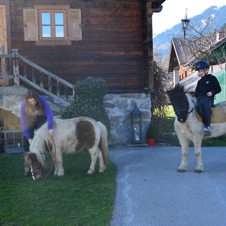 Ferienhaus Bognerhof Sankt Veit im Pongau Εξωτερικό φωτογραφία