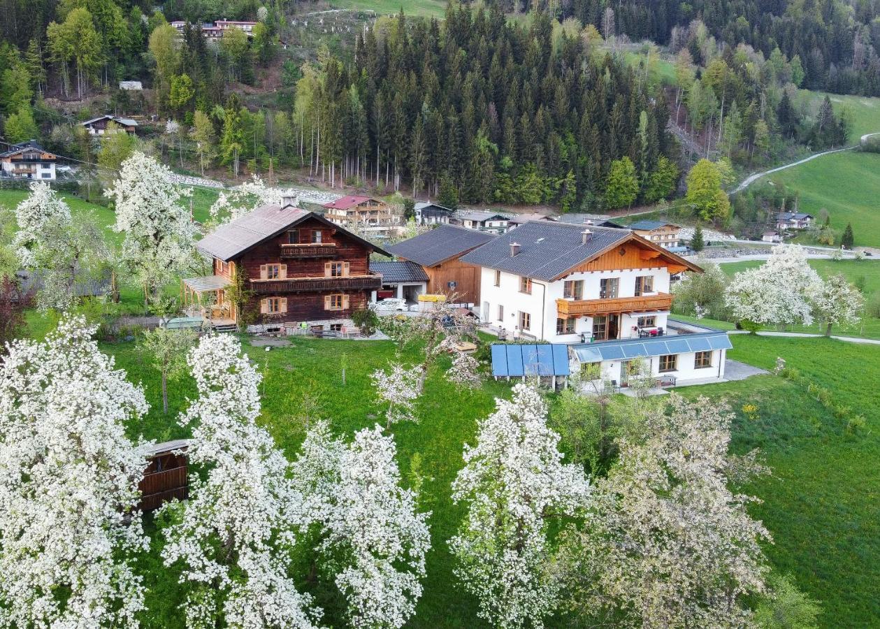 Ferienhaus Bognerhof Sankt Veit im Pongau Εξωτερικό φωτογραφία